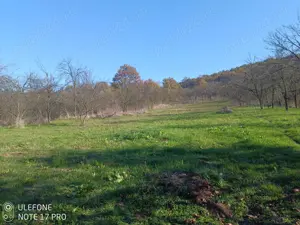 Vand casa Simeria veche - imagine 6