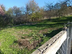 Vand casa Simeria veche - imagine 9