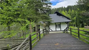 Casa de Vacanta la Munte! In Bucovina! De Vanzare! 0727817187 - imagine 9