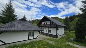 Casa de Vacanta la Munte! In Bucovina! De Vanzare! 0727817187 - imagine 14