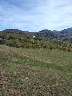 Teren   Zona Subcarpatica   Berislavesti   - imagine 2