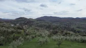 Teren   Zona Subcarpatica   Berislavesti