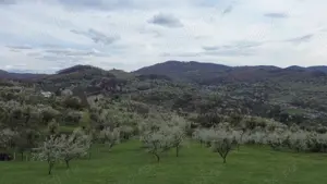 Teren   Zona Subcarpatica   Berislavesti   - imagine 5