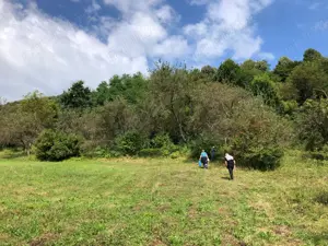 Teren   Zona Subcarpatica   Stoenesti   - imagine 2