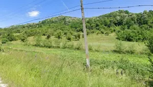 Teren   Zona Subcarpatica   Stoenesti