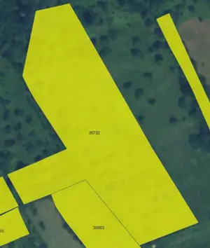 Teren   Zona Subcarpatica   Stoenesti   - imagine 3