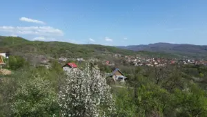 Teren   Jiblea Veche    - imagine 5