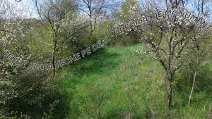 Teren   Jiblea Veche    - imagine 4