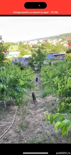 Ofer spre vanzare livada, suprafata 1250 m2, Targu-Ocna vizavi de strand Salina 100 m