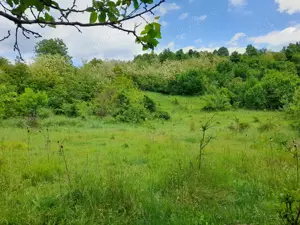 0.5 Ha, intravilan, fara poluare