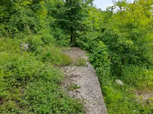 0.5 Ha, intravilan, fara poluare - imagine 9