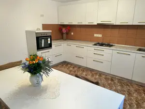 Casa de inchiriat Zona Bucium (Plopii fara sot) - imagine 3