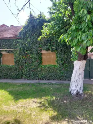 casa de vanzare strada Fagetului 142 - imagine 5 casa de vanzare strada Fagetului 142 - imagine 5