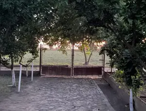 Casa din caramida - imagine 5
