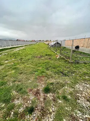 Teren Almas - oaza de liniste - imagine 5