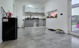 Vile de inchiriat Fantanele Arad - imagine 4