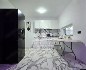 Vile de inchiriat Fantanele Arad - imagine 7