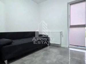 Vile de inchiriat Fantanele Arad - imagine 15