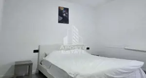 Vile de inchiriat Fantanele Arad - imagine 10