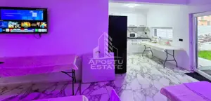 Vile de inchiriat Fantanele Arad - imagine 8