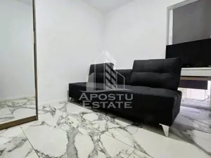 Vile de inchiriat Fantanele Arad - imagine 14