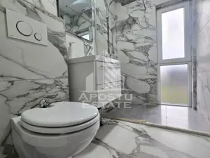 Vile de inchiriat Fantanele Arad - imagine 18