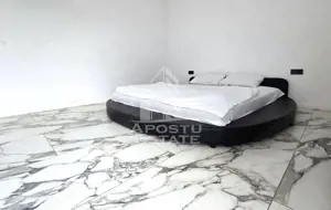 Vile de inchiriat Fantanele Arad - imagine 13