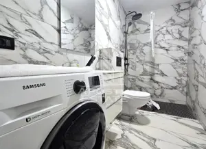 Vile de inchiriat Fantanele Arad - imagine 17