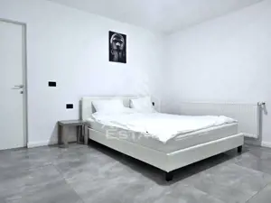 Vile de inchiriat Fantanele Arad - imagine 9