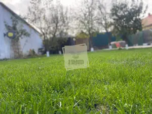 Casa inteligenta cu 5 camere 3 bai si  458 mp teren in Tiglari - imagine 3