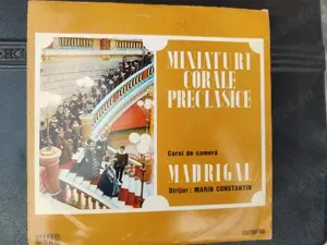Discuri vinil si CD muzica