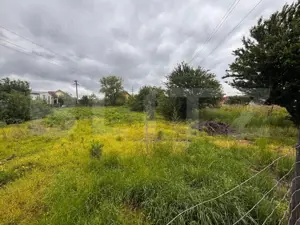 Teren Intravilan de vanzare, 1100 mp, zona Dedeman