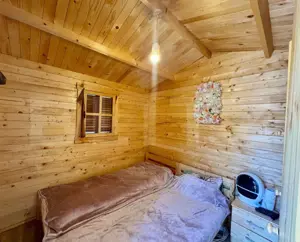 Cabane de vanzare, cu 3 camere, 50 mp, zona Brad - imagine 2