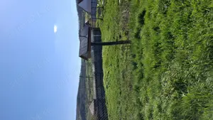 Teren intravilan Mogosesti 600 mp - imagine 3