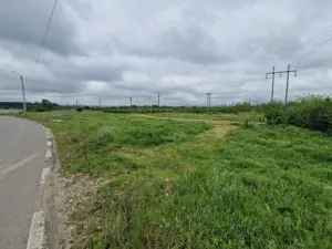 AZURA Imobiliare - Teren Stefanesti LIDL (Fitotron-Zavoi) - imagine 4