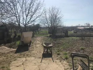 Casa cu teren la Paulis - imagine 6