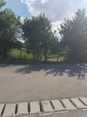 PROPRIETAR. Teren de vanzare in Camine,Prahova - imagine 3