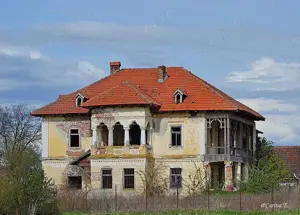 Conac boieresc de vanzare