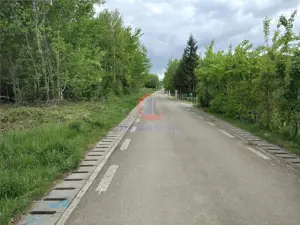 Teren Lacul Surduc  Fârdea