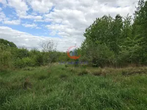 Teren Lacul Surduc  Fârdea - imagine 4