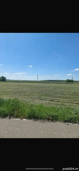 Teren sat Gostilele, Calarasi - imagine 3