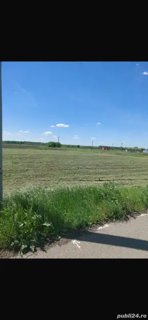 Teren sat Gostilele, Calarasi - imagine 4