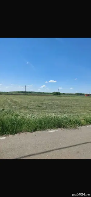 Teren sat Gostilele, Calarasi - imagine 2