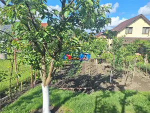 Vanzare casa individuala cu gradina matura Campenesti Apahida, Cluj-Napoca - imagine 9