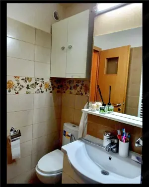 Aradului - 3 camere - decomandat - centrala proprie - ETAJ 2 - imagine 13