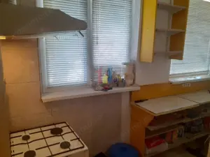 2 camere, 48 mp, Confort 1, parter cu balcon Garii - imagine 9