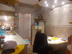 2 camere, 48 mp, Confort 1, parter cu balcon Garii - imagine 4