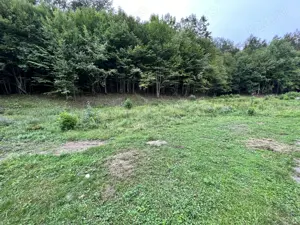 Vand teren in Valiug   Crivaia