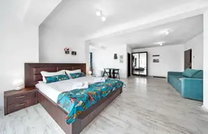 Structura Generoasa Mobilier Inclus - imagine 3