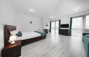 Structura Generoasa Mobilier Inclus - imagine 13